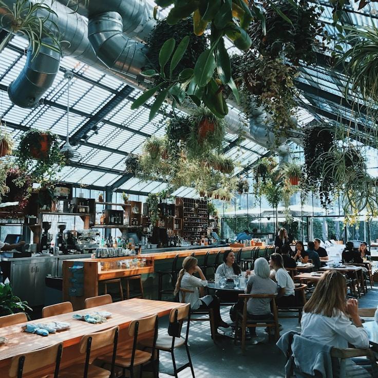 School choices for expat families in Lisbon, Portugal