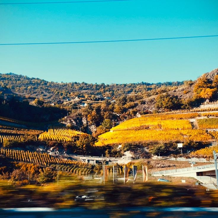 Entertainment zone at night in Portugal